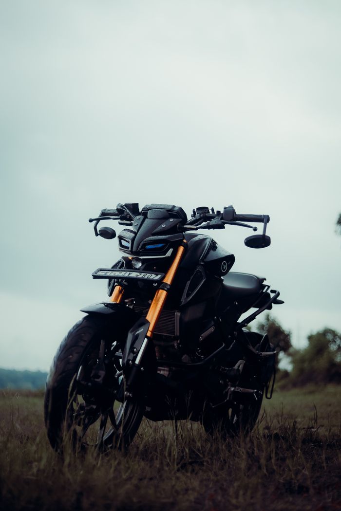 Black motorcycle standing in a grassy field under a cloudy sky, showcasing its modern design and rugged look.
